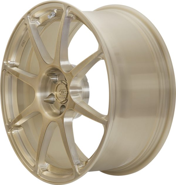 Alternative view of BC Forged Monoblock (RS31)