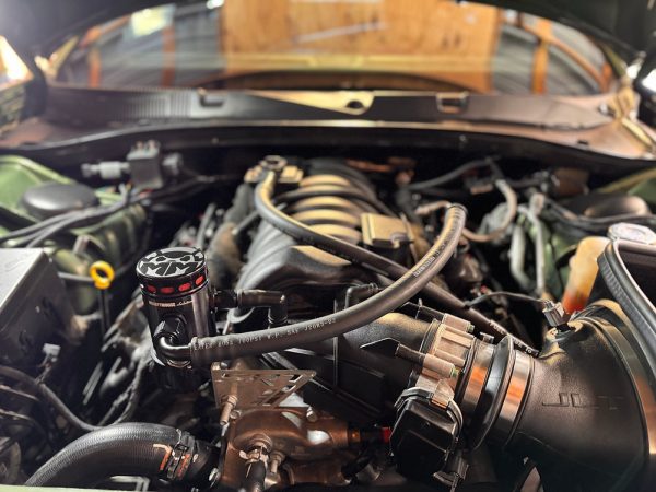 Mighty Mouse Solutions WILD Catch Can (6.4L) Gen6