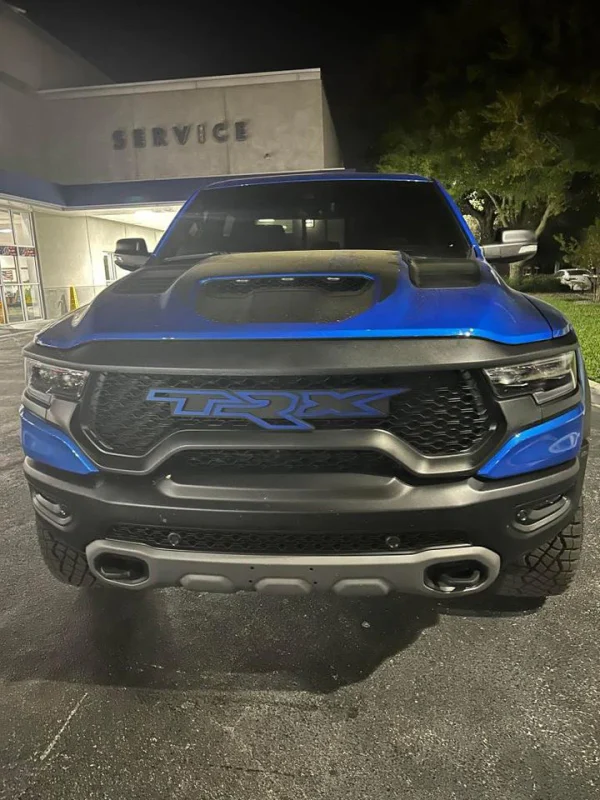 TRX Grille replacement badge - Image 9