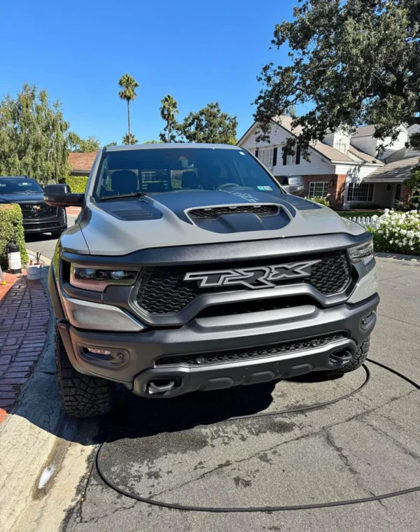 TRX Grille replacement badge - Image 16