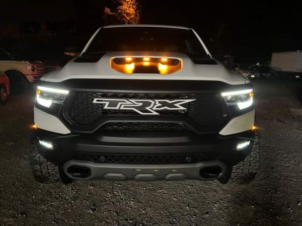 TRX Grille replacement badge - Image 11